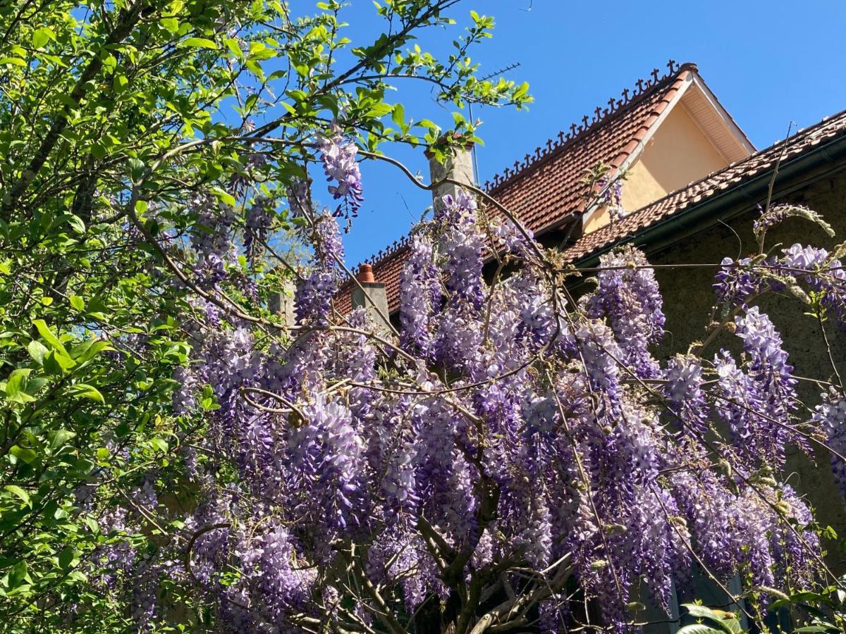 Bed and Breakfast Domaine La Jam Marciac Zewnętrze zdjęcie